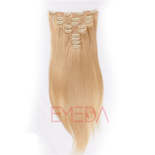 Clips in hair extensionsTop quality Brazilian hair Salon products Human hair Extensions HW0111